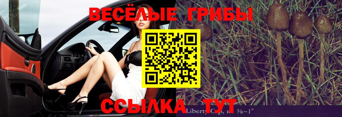 Псилоцибиновые грибы мицелий  Вход с VPN  Кореновск 